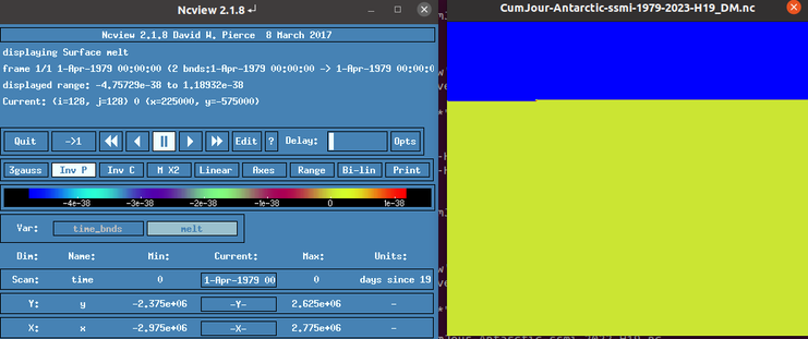 An ncview window showing a blue stripe at the top and yellow below