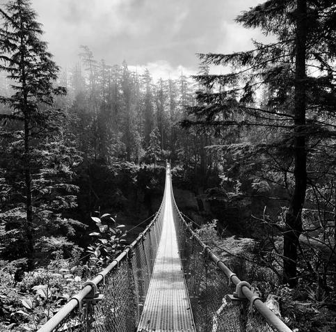Black and white photo of a suspension bridge over a canyon - from forest into more forest. The other side is foggy/misty.