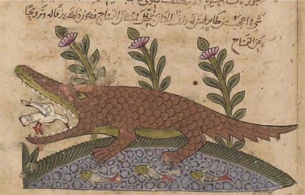 color illustration from an illuminated Arabic manuscript: crocodile standing in side profile with its mouth open while a white bird picks food from its teeth, with pool of water with fish below and three large flowering plants behind