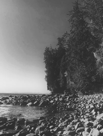 An isolated rocky beach, beside Pacific Ocean. Large trees are on the right.
Black and white photo.