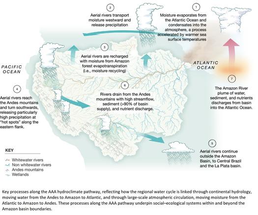 schematic / model graphic - Key processes along the AAA hydroclimate pathway, reflecting how the regional water cycle is linked through continental hydrology, moving water from the Andes to Amazon to Atlantic, and through large-scale atmospheric circulation, moving moisture from the Atlantic to Amazon to Andes. These processes along the AAA pathway underpin social–ecological systems within and beyond the Amazon basin boundaries.