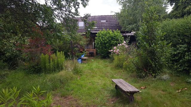 Ziemlich wilder Kleingarten mit einer Hütte im Hintergrund