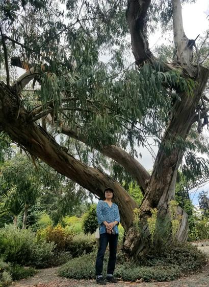 Mom, standing in front of a large eucalyptus tree.