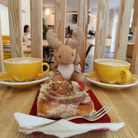 Two cappuccinos and a vegan cinnamon pecan roll at Stan cafe Plzeň. Coffee!