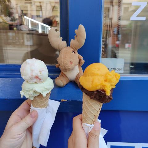 More icecream! From a different place today. Left is Japanese cheese cake and basil white chocolate (normal) and right is mango and dark chocolate (vegan)