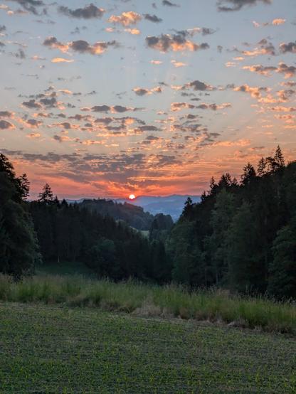 A shot down a small valley filled with dark green trees. On the horizon a very orange sun is rising and sens its rays through scattered clouds on the sky.
