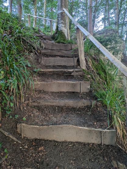 A set of very steep stairs in the forest with a handrail on the right. The steps are made from wooden planks and are all a little bit different in height and size. There are some green grasses left and right.