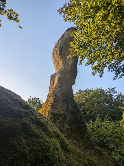 A peculiar sand stone formation which I encountered whilst getting lost on the trail. It has a somewhat phallic form (not really, just long-ish) and is approximatively 5m tall.
There are treetops visible in the background and a clear blue sky.