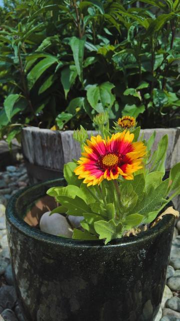 #VisualSearch is #QuiteCool...