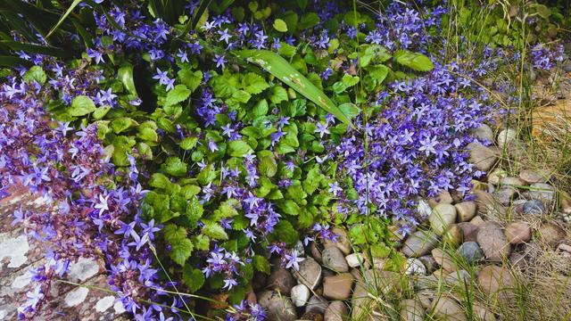 #VisualSearch is #StillQuiteCool...