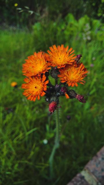 ... #StillQuiteCool...