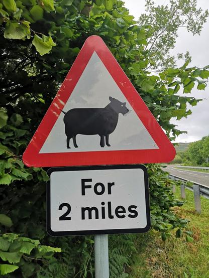 Ein Straßenschild aus Schottland, darauf ist original ein Schaf abgebildet gewesen. Ein Künstler hat daraus ein Nashorn gemacht und so warnt dieses Schild vor nashörner auf de nnächsten 2 Meilen in Schottland