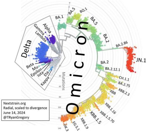 Illustration of strains

How laughable everything is labeled Omicron even though CLEARLY they should be new names