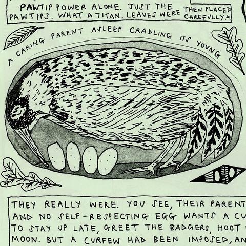 An illustration from a Tso comic of a green woodpecker lying down asleep in its nest, cradling its four eggs. There are leaves drawn around the outside.