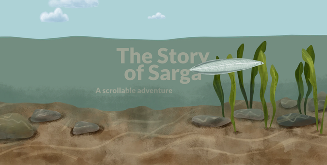 Title page of a scrollytelling story called The Story of Sarga: a scrollable adventure. A small baby eel swim from left to right underwater. There are green plants to the right and several grey stones on the bed.