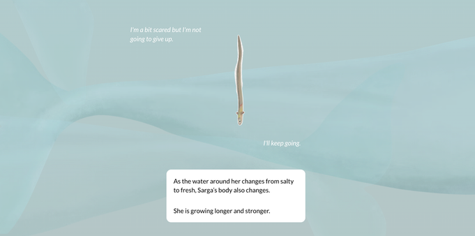 A small eel (seen from above) swims from top to bottom - behind her a large beluga what swims. There are 3 pieces of text. 1. The eel saying "I'm a bit scared but I'm not going to give up", and 2. "I'll keep going' . The 3rd text box is informative and reads "As the water around her changes from salty to fresh, Sarga's body also changes. She is growing longer and stronger".