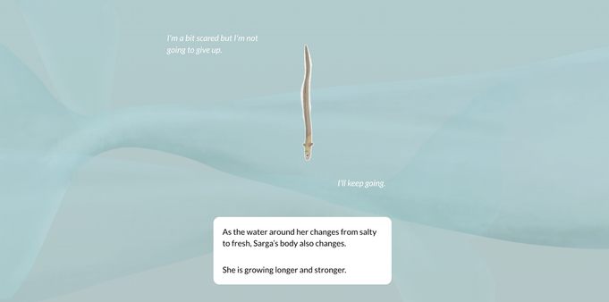 A small eel (seen from above) swims from top to bottom - behind her a large beluga what swims. There are 3 pieces of text. 1. The eel saying "I'm a bit scared but I'm not going to give up", and 2. "I'll keep going' . The 3rd text box is informative and reads "As the water around her changes from salty to fresh, Sarga's body also changes. She is growing longer and stronger".