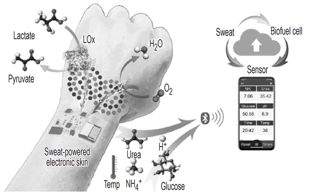 Schematic illustration of "sweat-powered electronic skin" that senses chemical levels and reports results to a smartphone.