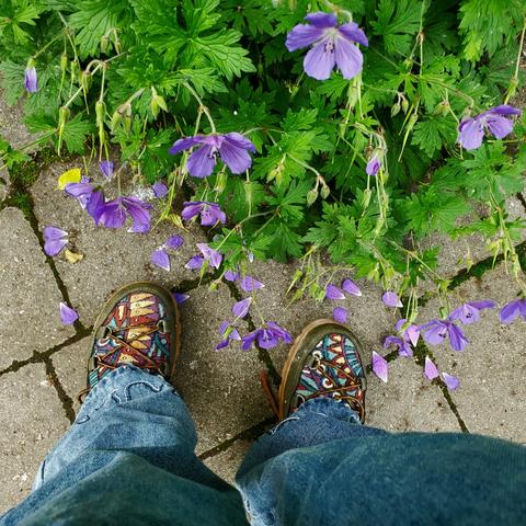 My green & fabric hiking boots with purple geranium flowers