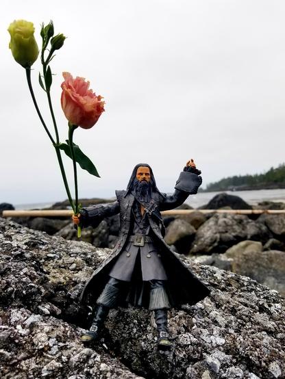 Jack Sparrow figurine, holding fake roses on the rocks at beach. Ocean is in the background.