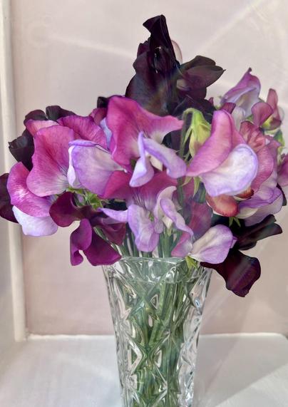 A glass vase of sweet peas - light and dark pink, and dark purple.