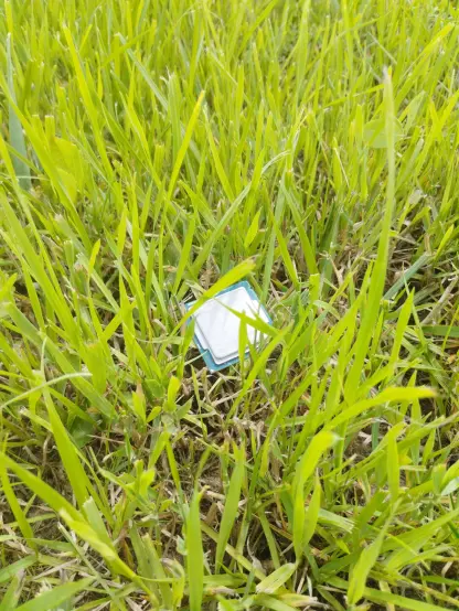 an intel processor laying in grass