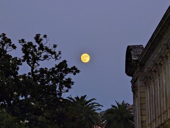 Moonrise over treetops and the corner of a building