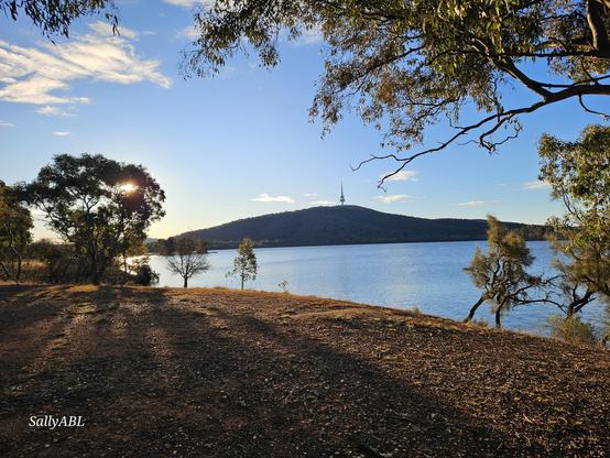 Looking across the still water of a lake towards a tower on a low mountain. On the left, the setting sun glows behind a tree casting an interesting shadow. Light scattered clouds.