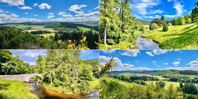 Four photo collage: bright sunny day, deep blue skies, white puffy clouds. Top left and bottom right: yellow gorse bushes in foreground, looking towards green fields and forested rolling hills. Top right and bottom left: blue river, twisting through green grassland, surrounded by green trees. Top right, there is a small grey shed with red/grey roof. Bottom left, there is an old grey stone bridge crossing the river, parts of the river are dark near the bridge.