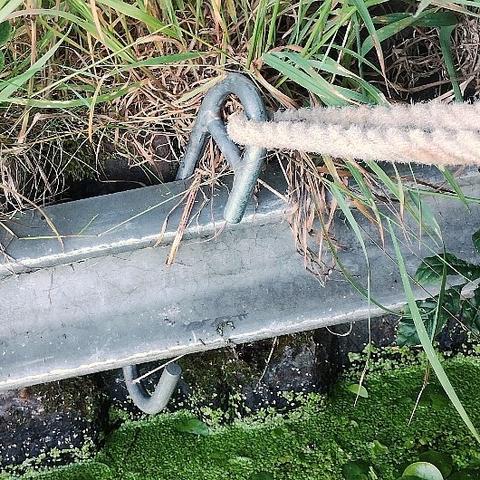 A mooring hook clipped into the steel rail of steel piling along the canal bank. There's vegetation above and below. Above it's mainly grasses, below it's mainly duckweed and water lilies. A rope passes through the mooring hook. Both ends of the rope are tied to the boat (not shown).