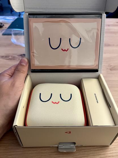 The opened package shows a UwU postcard, a small carrying case with UwU on it. On the right, there is a small accessoires box.