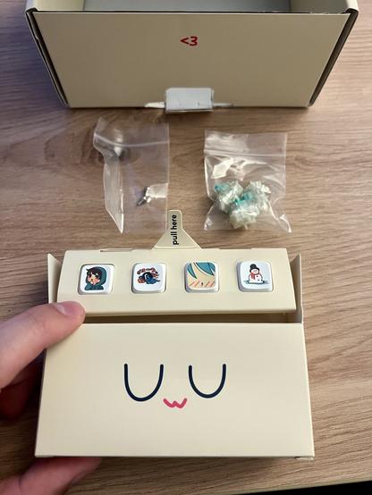 The accessoires box contains additional manga and anime related keycaps, three switches and screws.