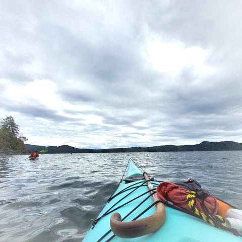 View of ocean & friends in double kayak on the far left. Atop our rental kayak is my cane & some emergency rescue gear