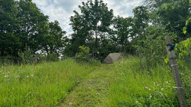 So schaut meine Übernachtungsplatz von unten aus: das Zelt mitten in der Blumenwiese