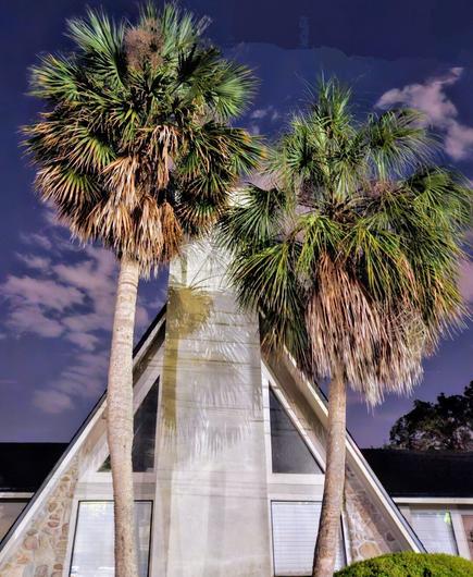 Two palm trees frame a triangle shaped home beneath a dark blue sky with purple clouds.