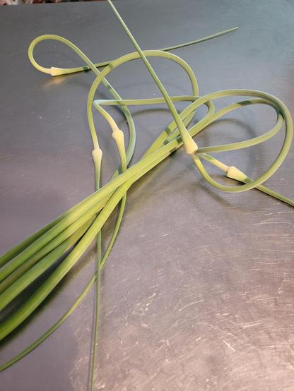 Garlic scapes on a stainless steel counter.