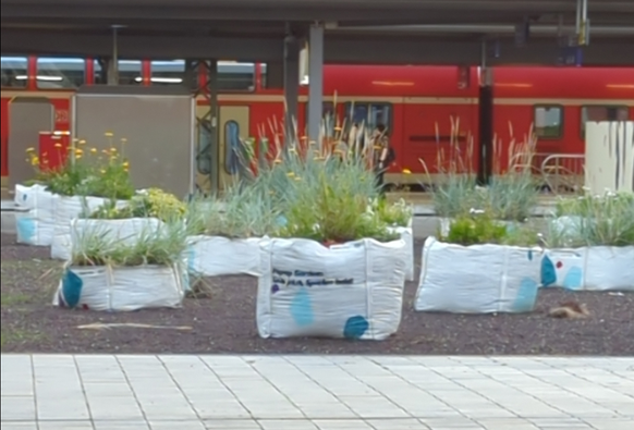 auf einer Schotterfläche ca. 40*25 mtr stehen ca. 15 bigpack mit pflanzen, zum Grossteil Gräser.
