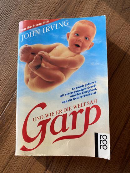 Buchcover John Irving "Garp"