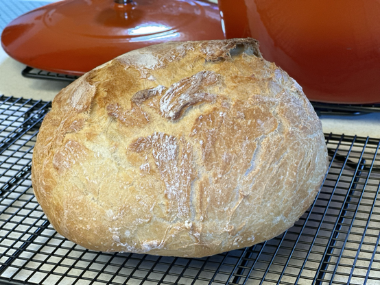 Home made Dutch oven bread