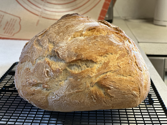 Home made Dutch oven bread