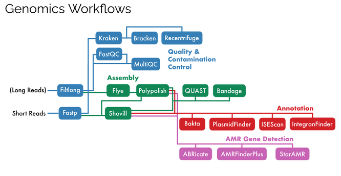 Overview of the modular ABRomics genomics workflows