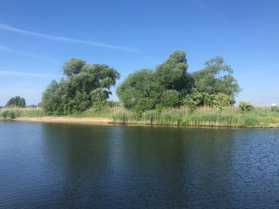 Blick auf ein naturnahes Ufer an der Unteren Havel.