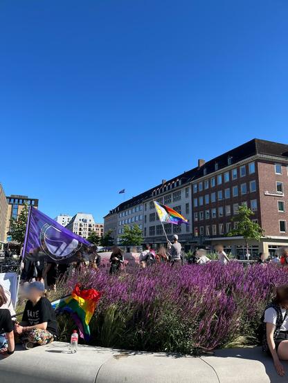 Violette Bepflanzung am Bootshafen, dahinter eine Gruppe Menschen mit Regenbogenflaggen und der Flagge der Feministischen Antifa Kiel, dahinter Gebäude am Bootshafen und strahlend blauer Himmel.