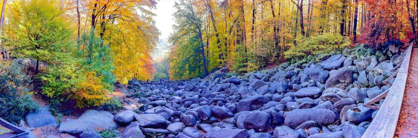Das Bild zeigt den Blick auf einen Streifen großer, runder Felsen, die mitten in einem herbstlich gefärbten Wald einen Hang herab liegen, als ob übergroße Kieselsteine mit einem Fluss durch den Wald gespült wurden.