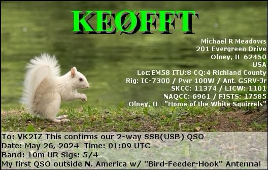 One of Olney’s white squirrels on a QSL card with my info.