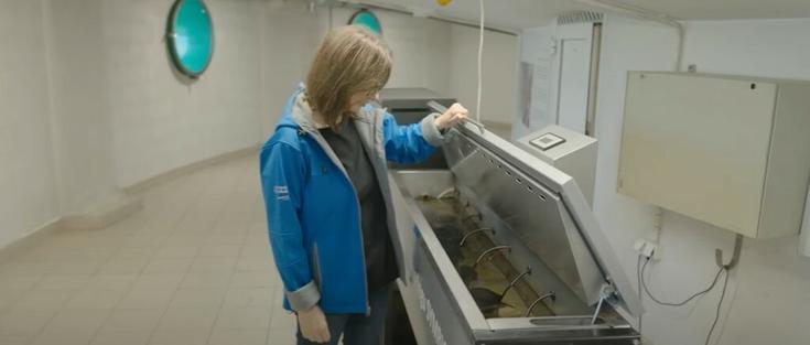 des-palourdes-pour-tester-la-qualite-de-leau-video-varsovie-pologne