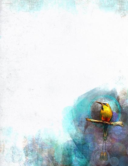 An illustrated page of unlined paper featuring a turquoise-browed motmot in the lower right hand corner. Main colors are turquoise, brown and golden yellow.