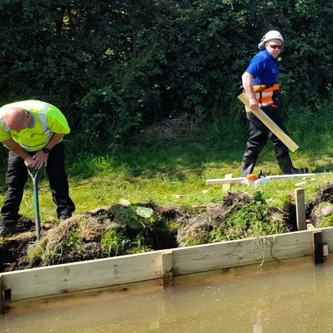 A photo of workers installing new wooden piling along a canal bank, to replace the rotten piling. One worker is digging with a shovel, another is carrying a piece of wood. The wood looks untreated and is installed in the water at the bank, looking much like a wooden fence, but largely under water. The workers are on the grassy towpath. Behind them is a tall, green hedgerow.