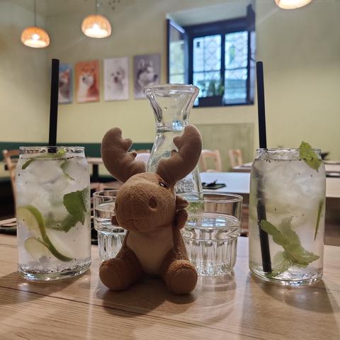Lemonades, free lemon & mint water