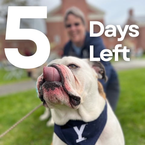 A bulldog in sharp focus, licking his chops. He's waring a blue neck wrap with a white "Y" for Yale. A woman is blurry in the background smiling at the dog. The words 5 Days Left in large block white letters.